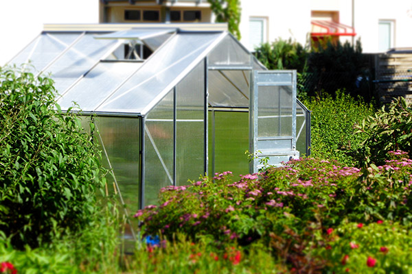 Matjord eller kompost får planter til å gro i drivhus